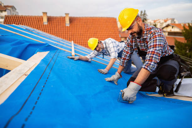 Best Roof Insulation Installation  in Navarre, OH